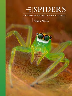 cover image of The Lives of Spiders
